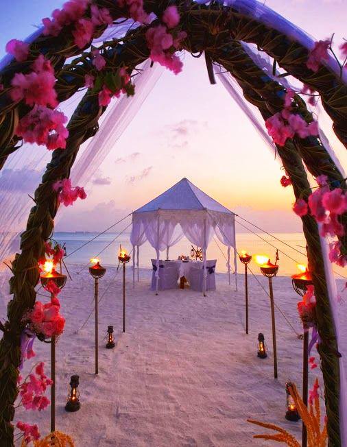 Seventy Seven Entertainment Pvt. Ltd. Event Management Companies weddingplz