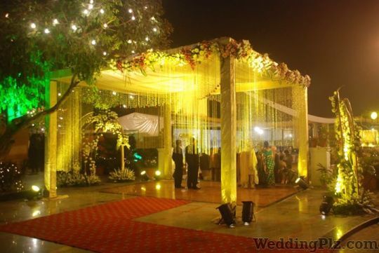 Blue Apple Entertainment Event Management Companies weddingplz