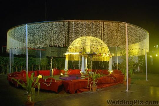 Blue Apple Entertainment Event Management Companies weddingplz