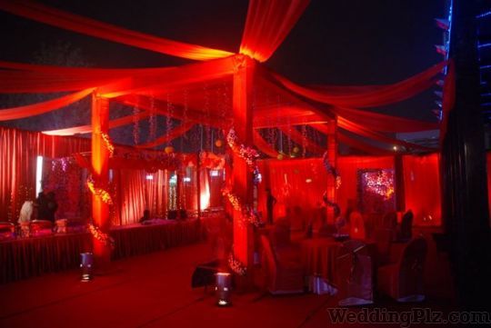 Blue Apple Entertainment Event Management Companies weddingplz