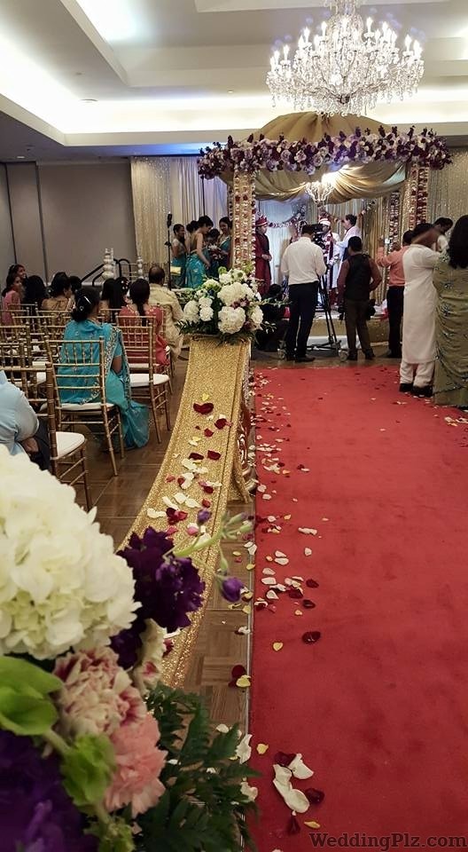 SnS Desire Event Management Companies weddingplz