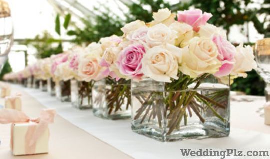 Sound Tree Event Management Companies weddingplz