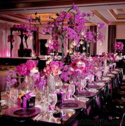 Event Tantra Event Management Companies weddingplz