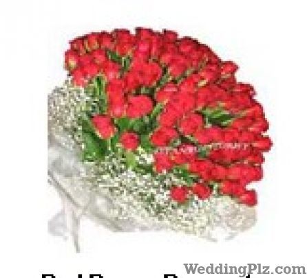 India Flower Mall Florists weddingplz