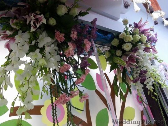 Buddy Phoolz Florists weddingplz