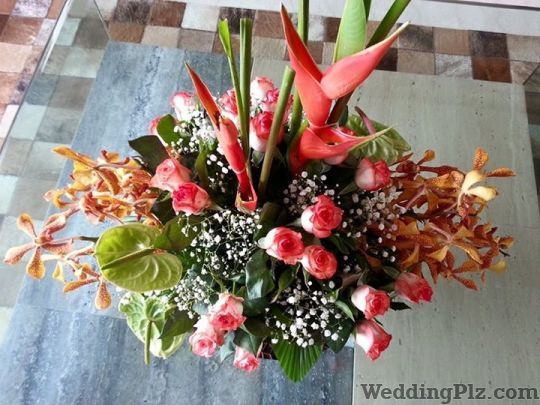 Buddy Phoolz Florists weddingplz