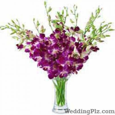 Ferns N Petals Florists weddingplz