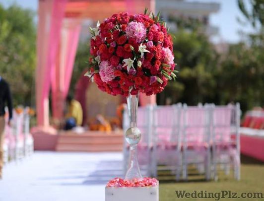 Mistletoe Florists weddingplz