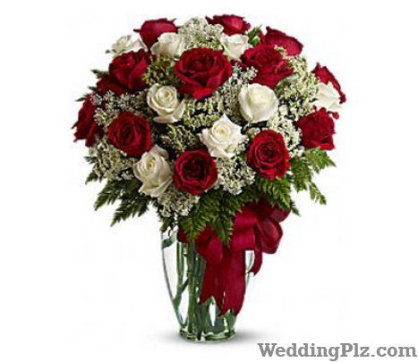 Flowers N Fruits Florists weddingplz