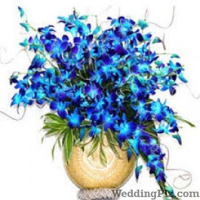 India Flower Florists weddingplz