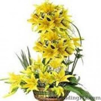 India Flower Florists weddingplz
