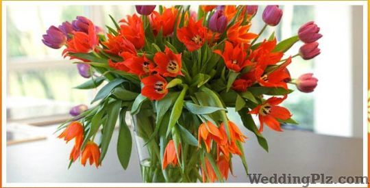 Sneha Florist Florists weddingplz