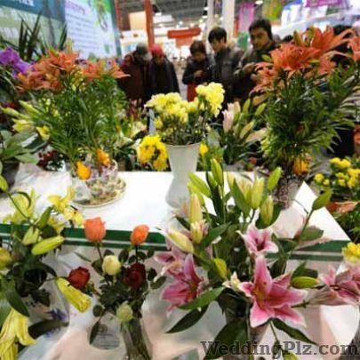 Sneha Florist Florists weddingplz