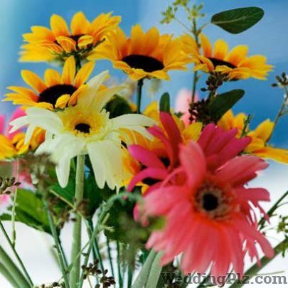 Sneha Florist Florists weddingplz