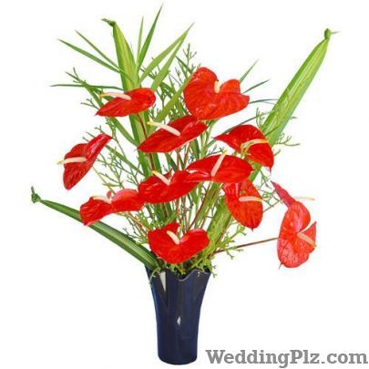 Bangalore Blooms Florists weddingplz