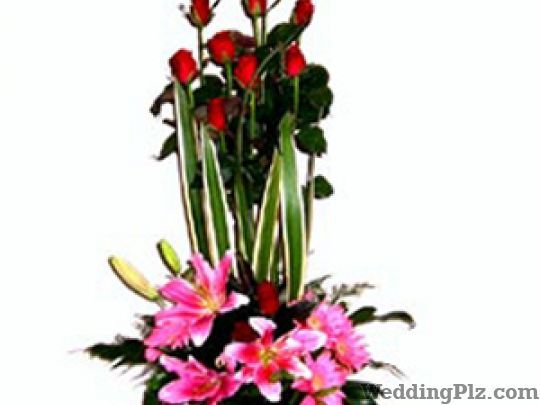 Bunny Florist Florists weddingplz