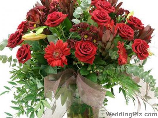 Bunny Florist Florists weddingplz