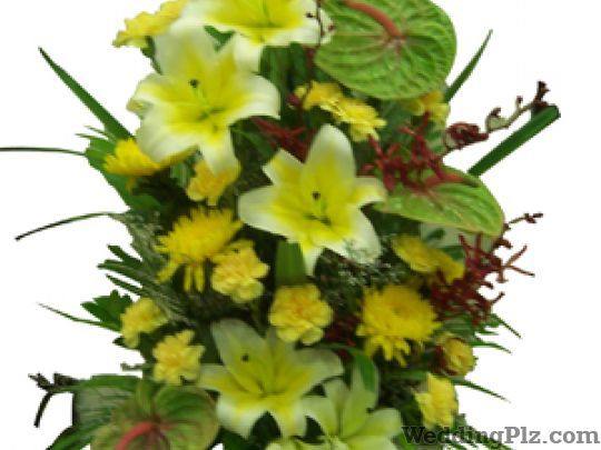 Bunny Florist Florists weddingplz
