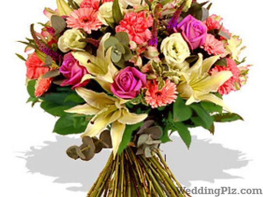 Bunny Florist Florists weddingplz