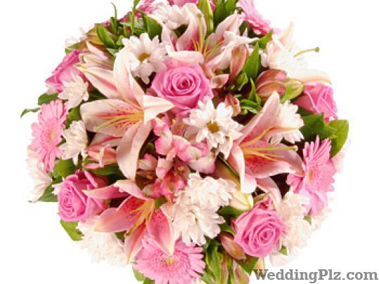 Bunny Florist Florists weddingplz