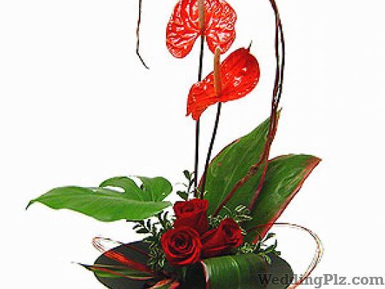 Bunny Florist Florists weddingplz