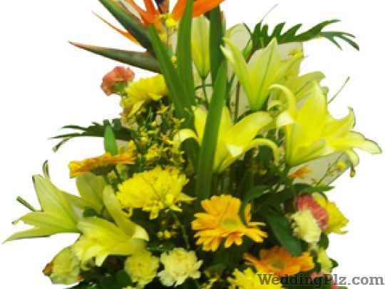 Bunny Florist Florists weddingplz