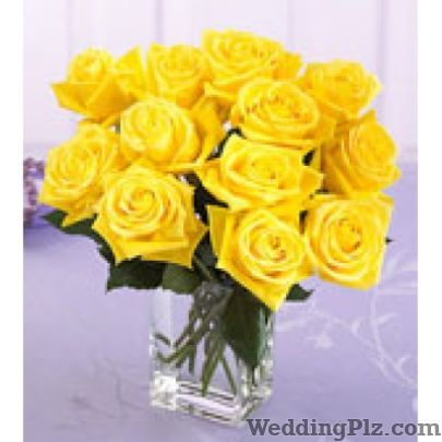 Buy Flowers N Cakes Florists weddingplz