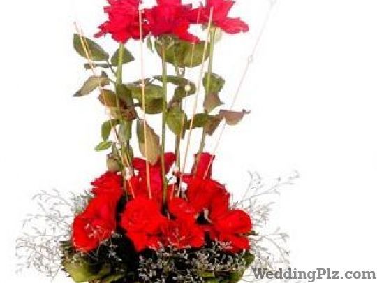 Interface Online Service Florists weddingplz