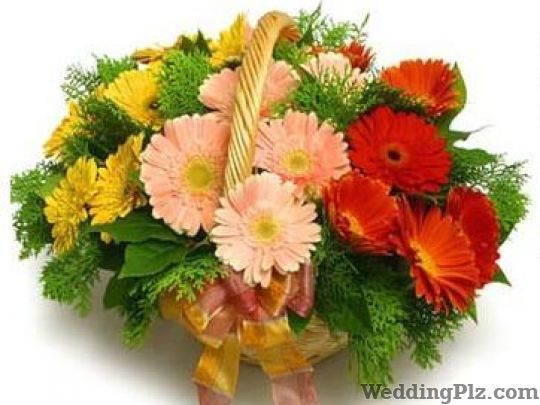 Interface Online Service Florists weddingplz