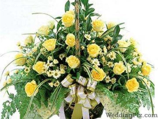 Interface Online Service Florists weddingplz