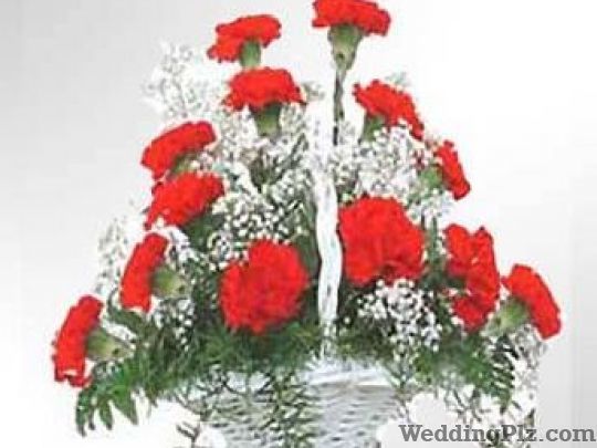 Interface Online Service Florists weddingplz