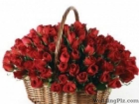 Gift Martini Florists weddingplz