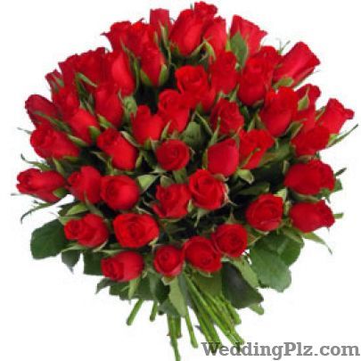 ALL India Florist Florists weddingplz