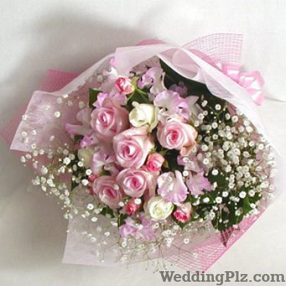 ALL India Florist Florists weddingplz