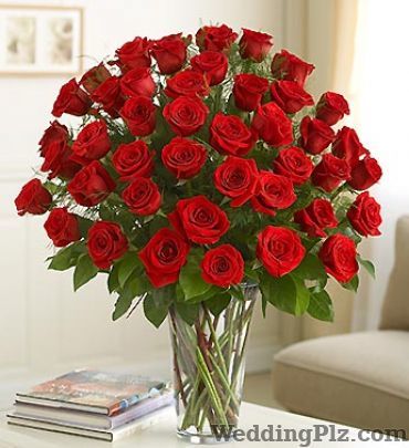 ALL India Florist Florists weddingplz