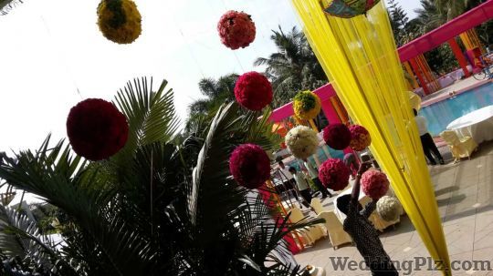 Friends N Flora Florists weddingplz