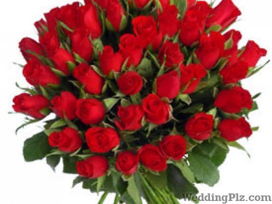 Just Florist Pvt Ltd. Florists weddingplz