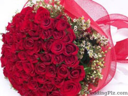Just Florist Pvt Ltd. Florists weddingplz