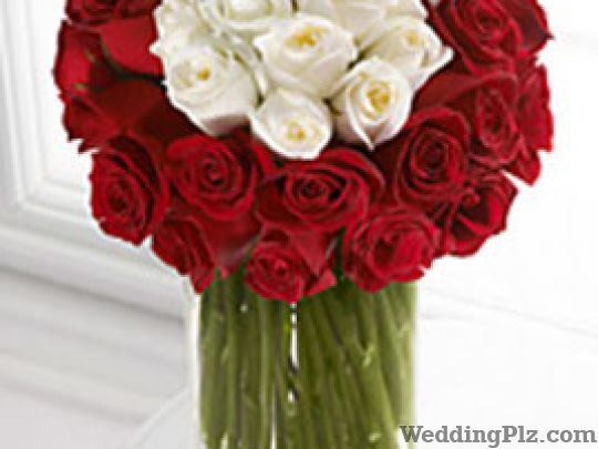 Just Florist Pvt Ltd. Florists weddingplz