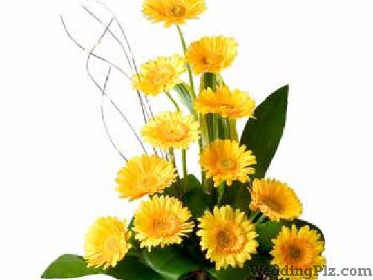 Orchid Flower Shop Florists weddingplz