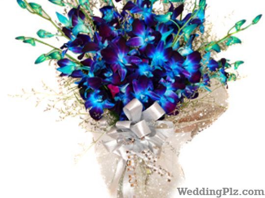 Orchid Flower Shop Florists weddingplz