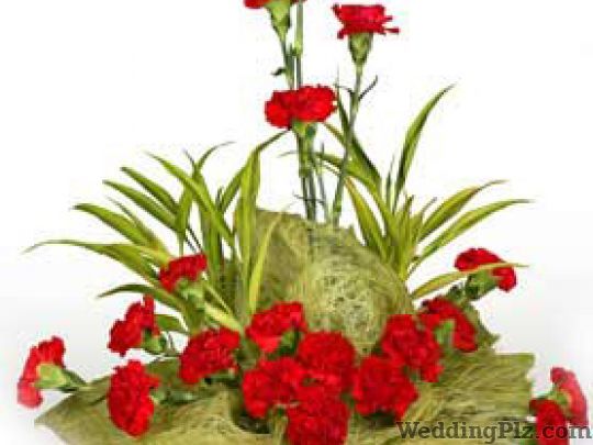 Orchid Flower Shop Florists weddingplz