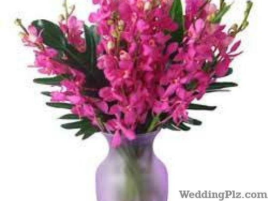 Paigam Florist Florists weddingplz