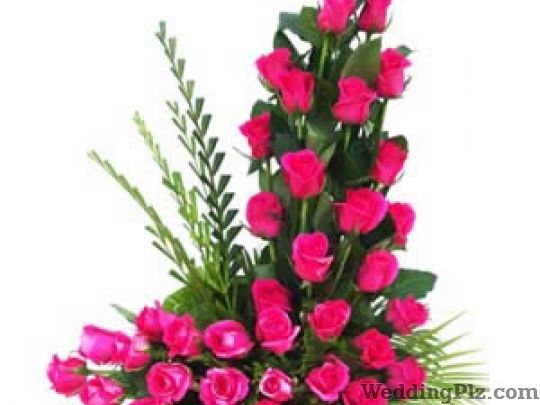 Rajdhani Florist And Decorator Florists weddingplz