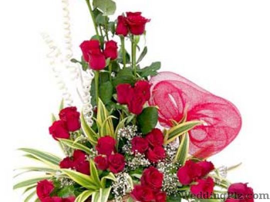 Rajdhani Florist And Decorator Florists weddingplz