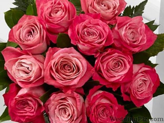 Virendra Florist Florists weddingplz