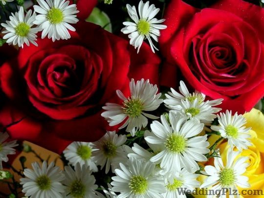 Virendra Florist Florists weddingplz