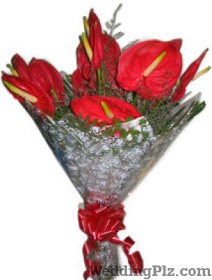Whitefields Florists weddingplz