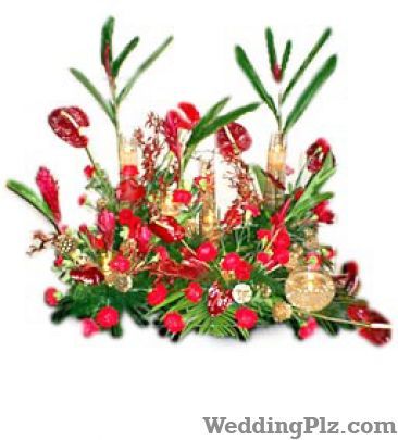 Whitefields Florists weddingplz