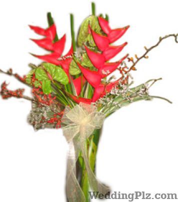 Whitefields Florists weddingplz